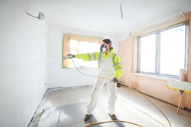 Reliable Sylvania, OH Mold Removal Solutions