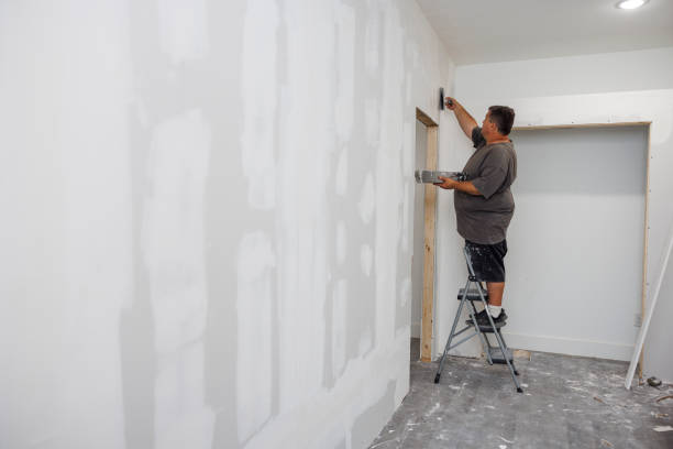 Mold Remediation for Vacation Homes in Sylvania, OH