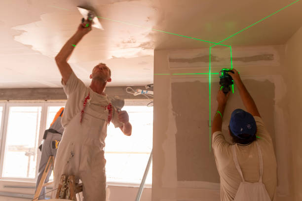 Best Black Mold Removal  in Sylvania, OH