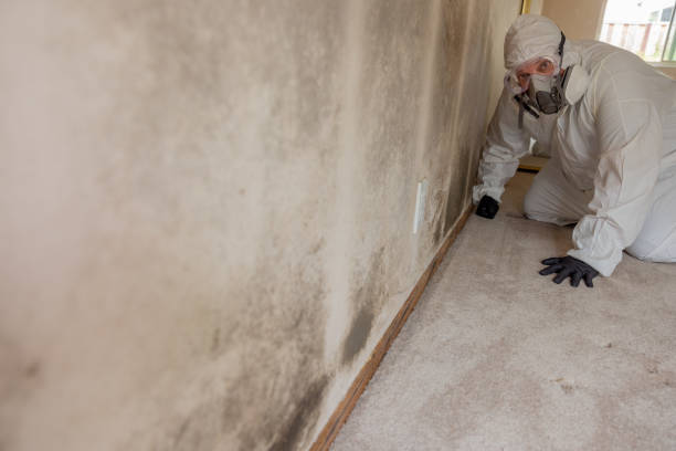 Best HVAC Mold Inspection and Cleaning  in Sylvania, OH