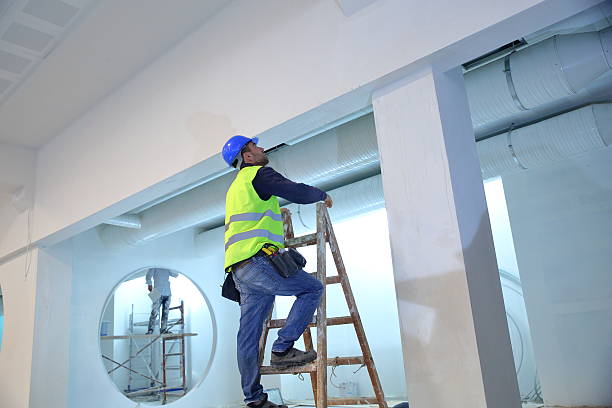 Best Post-Construction Mold Inspection  in Sylvania, OH