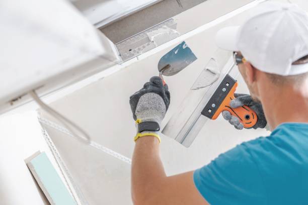 Best Mold Removal for HVAC Installations  in Sylvania, OH